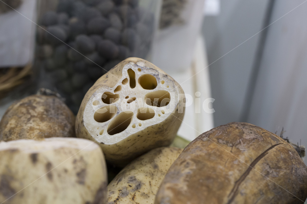 연근,연뿌리,연꽃,뿌리줄기,뿌리,구멍,녹말