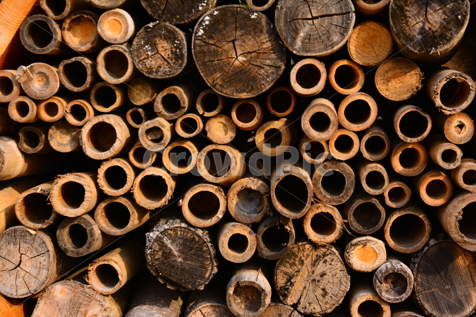 패턴,대나무,빈티지,원통형,텍스쳐,나무,바탕,배경,나뭇결,wood,백그라운드,질감,표면,texture,background,pattern,vintage,나이,흔적,무늬,텍스처,질감,패턴,texture,pattern