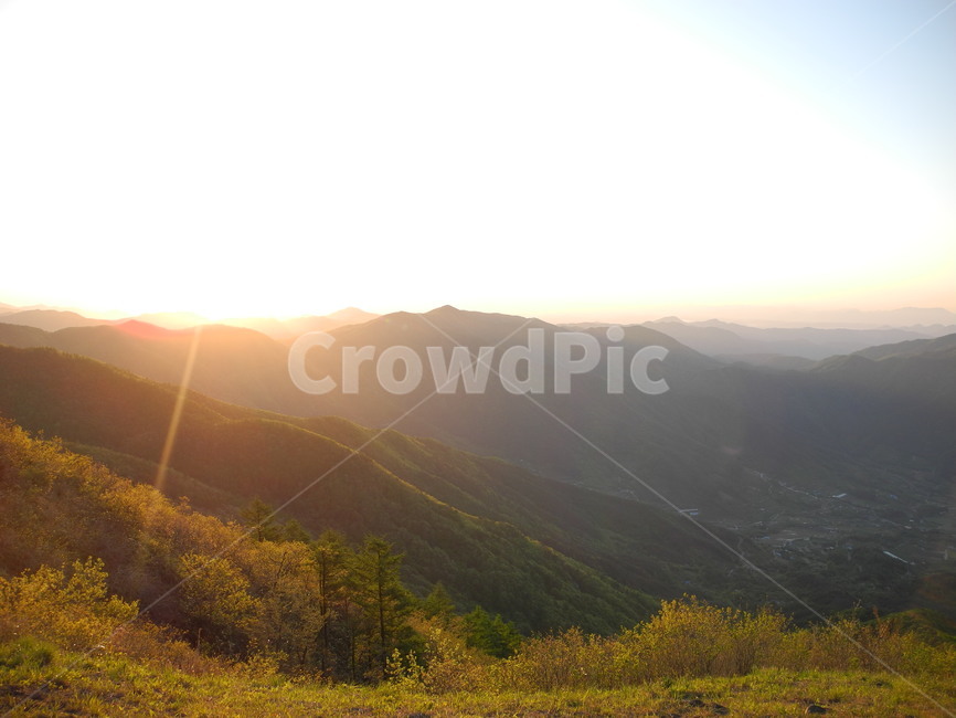 지리산,아침,해,나무,시작