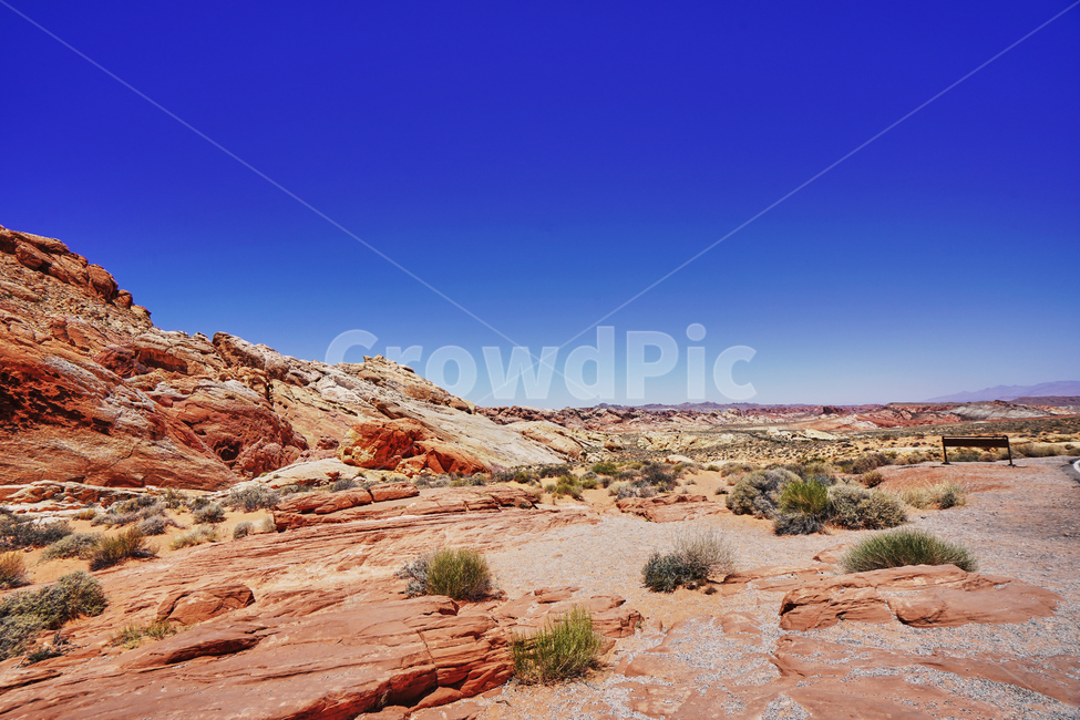 valleyoffire,불의계곡,건조한,dry,풍경,파란,하늘,red,rock,바위,자연,풍경,nature,landscape,해외,외국,세계,foreign,oversea,world,세계자연풍경,해외자연풍경,외국자연풍경,world nature landscape,outdoors,옥외,desert,사막,soil,흙