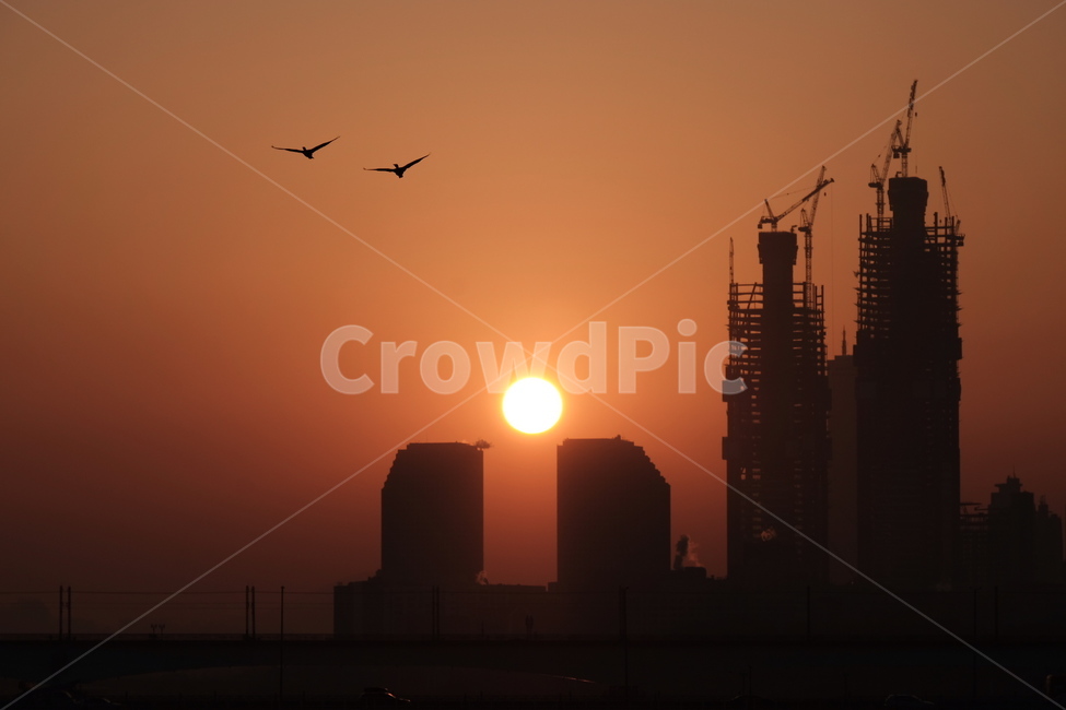 일출,도시일출,붉은해,붉은태양,붉은노을,sunrise,도시,풍경,city,landscape,한국도시풍경,한국도시경관,korea cityscape,실루엣,그림자,silhouette,shadow,산업,industry,industrial,건설업,건축업,construction industry,nature,자연,outdoors,옥외