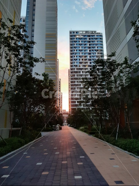 건물,퇴근,노을,road,building,도시,풍경,city,landscape