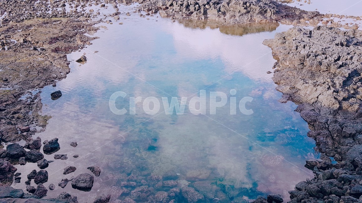puddle,흐리게하다,제주도,비온뒤풍경,nature,자연,outdoors,바다,sea