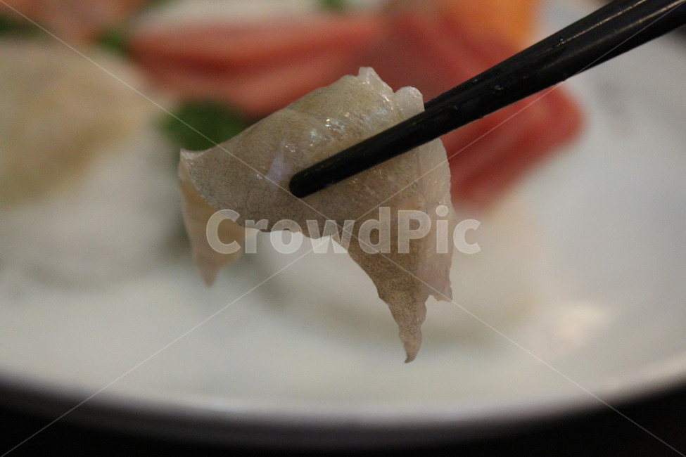 광어회,회,광어,생선회,광어지느러미,신선한,물고기,생선,점심식사,저녁식사,회식,식사,맛있는,싱싱한,해산물,해물,바다,바다요리,한국,한국음식,일식,사시미,음식,식재료,요리,food,cook,meal,dishes,food reserves,수산물,해산물,fishery products,seafood