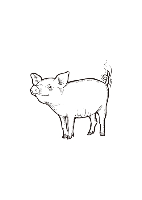 돼지,라인일러스트,스케치,돼지일러스트,손그림,그래픽,일러스트레이션,illustration,sketch,드로잉,drawing,동물드로잉,animals,동물,animal,포유류,mammal,그래픽,일러스트레이션,graphic,illustration