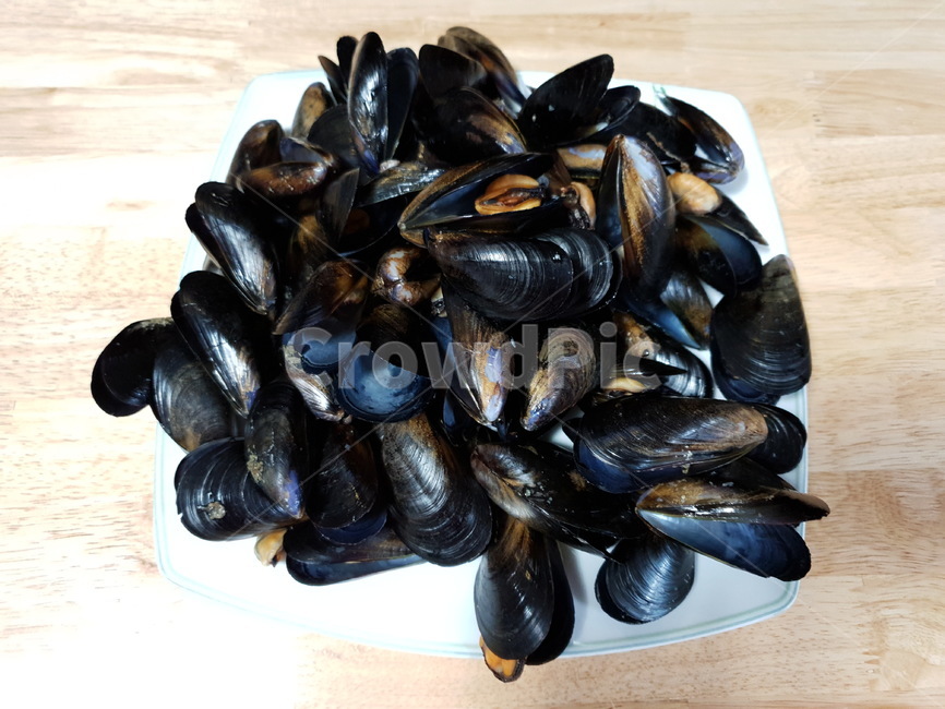홍합,찜,홍합찜,홍합껍데기,홍합탑,해산물,나무,나무탁자,흰접시,접시,검은색,조개껍데기,animal,동물,invertebrate,무척추동물,clam,대합,seashell,조개,sealife,해양생물