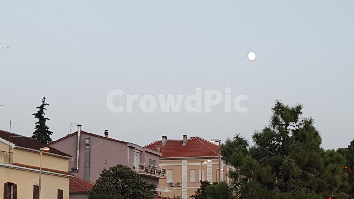 달,저녁,동네,건물,나무,하늘,moon,evening,neighborhood,houses,trees,sky