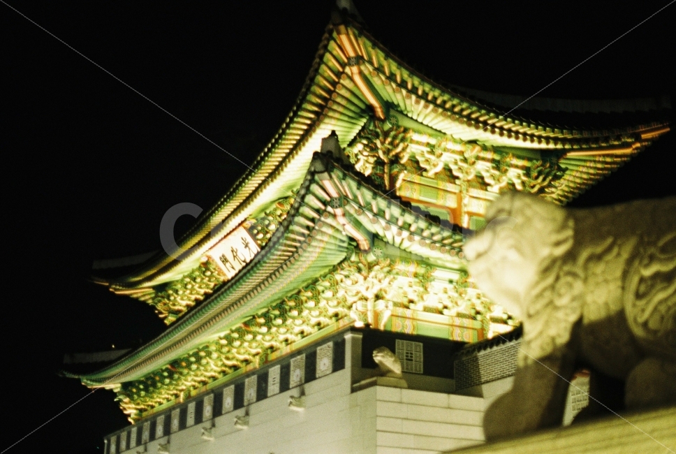 야경,경복궁,필카,필름,감성,종로,데이트,야경,밤,풍경,nightscape,night,landscape,랜드마크,landmark,tourist attraction,한국전통,한국문화,korean traditional,korean culture,dinosaur,공룡,animal,동물,architecture,건축물,pagoda,탑,shrine,신사,building,건물,worship,예배