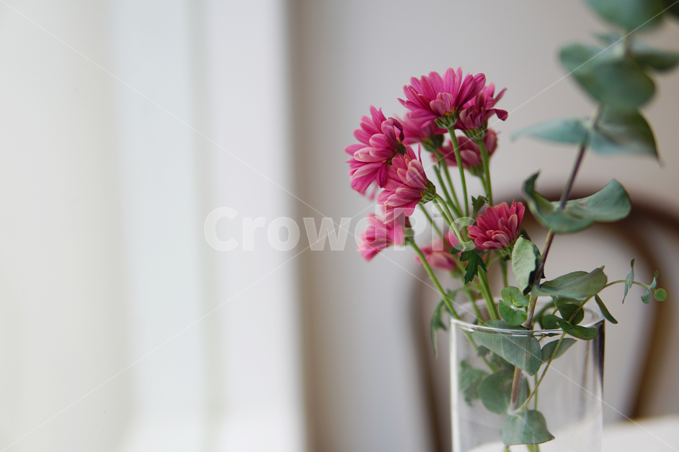 plant,식물,flowerarrangement,꽃꽂이,flower,꽃,blossom,flowerbouquet,꽃부케,꽃병,vase,interior,인테리어,예쁜,실내,indoor,카페,cafe,흰색,white,pink,분홍,감성사진,감성