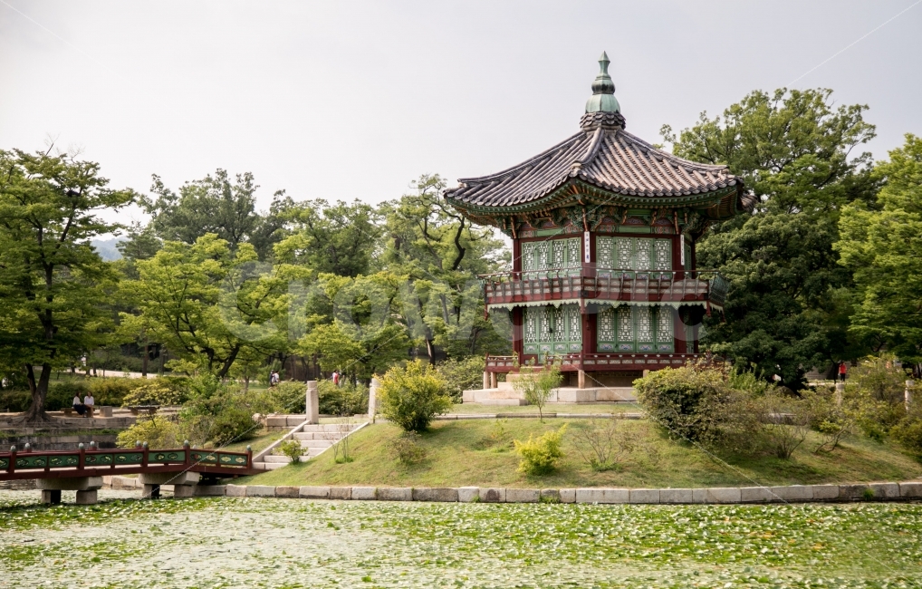 봄,한국,경복궁,연못,연꽃,풍경,감성,풀,초록,랜드마크,landmark,tourist attraction,한국전통,한국문화,korean traditional,korean culture