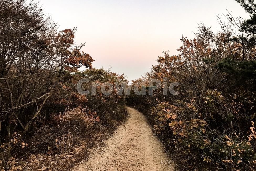 산길,가을,오솔길,자연,목표,가을,계절,fall,autumn,season,자연,풍경,nature,landscape,gravel,자갈,dirt road,흙길,road,도로,ground,바닥