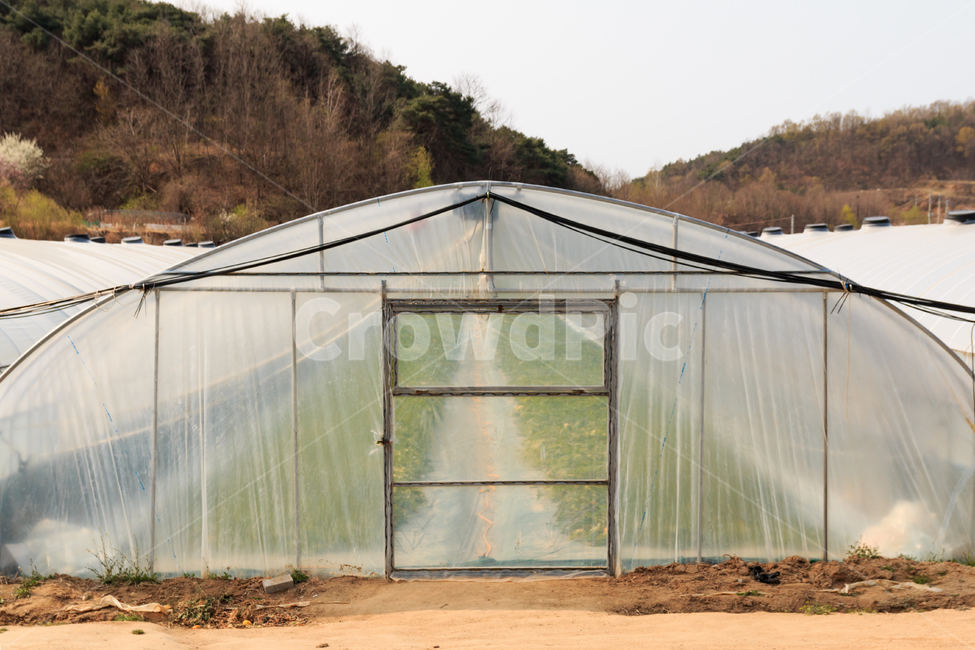 비닐하우스,온실,경작,농장,경관,농촌,건축물,건물,농촌경관,농사,시골,교외,풍경,농업,참외밭,농작물,참외비닐하우스,지붕,터널,재배,원예시설
