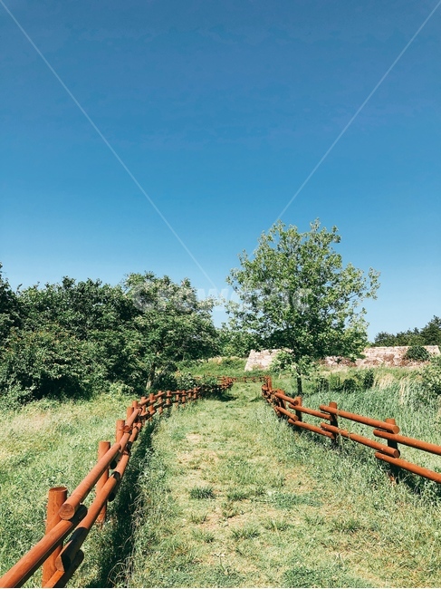 초원,풀길,울타리,하늘,나무,자연,풍경,nature,landscape