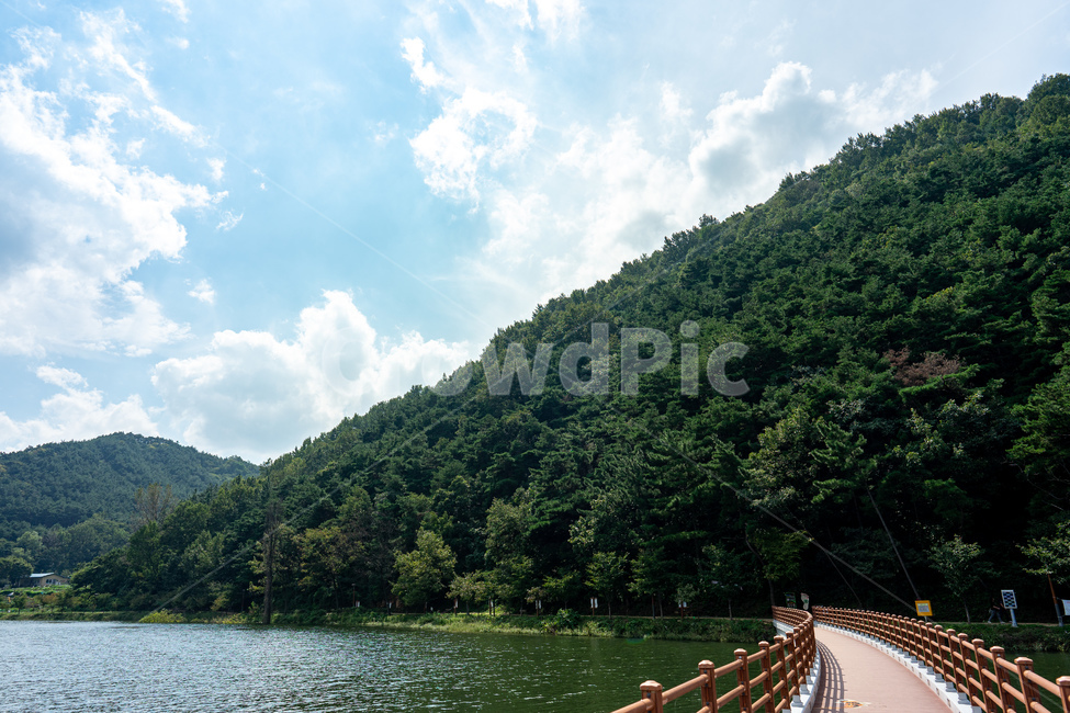 water,물,outdoors,옥외,nature,자연,옥연지,송해공원,다리,공원,하늘,sky