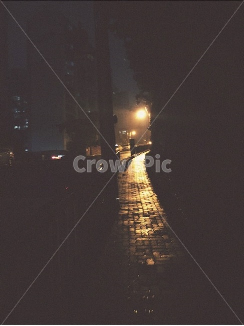 봄비,가로등,저녁,퇴근길,저녁감성,야경,밤,풍경,nightscape,night,landscape,도시,city,감성,sensible,feeling,light,빛,flare,플레어