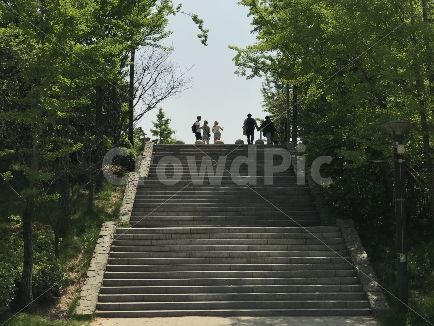 만남,즐거움,계단,사람,사람들,나무,잔디,자연,하늘,자연,풍경,nature,landscape,사람,인물,인간,human,person,staircase,banister,난간,handrail,outdoors,옥외