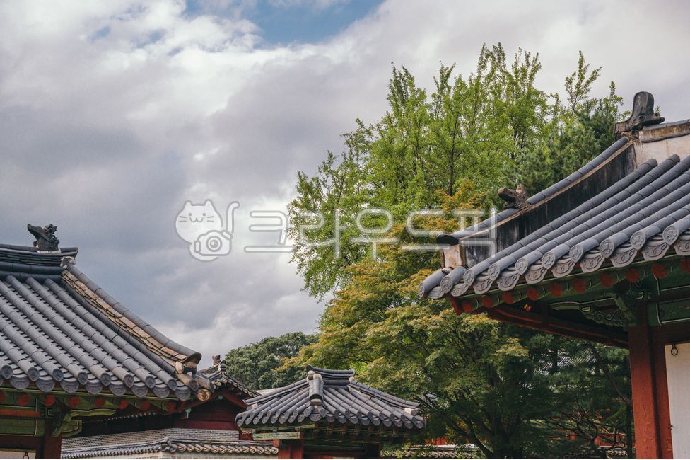 seoul,roof,korea,Jongmyo Shrine,traditional tiles,tile roof,Tourist destination,building