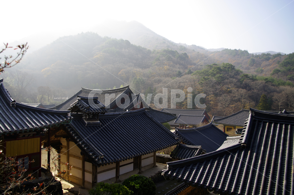 기와지붕,전통,산,사찰,전각,한국,한국전통,한국문화,korean traditional,korean culture,건축물,건물외관,exterior,building,structure,architecture,construction