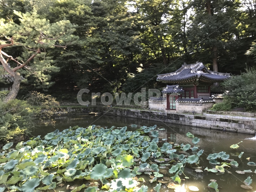 창덕궁,창덕궁후원,창덕궁전각,changdeokgung,창덕궁내부,한국전통,한국문화,korean traditional,korean culture,건축물,건물외관,exterior,building,structure,architecture,construction