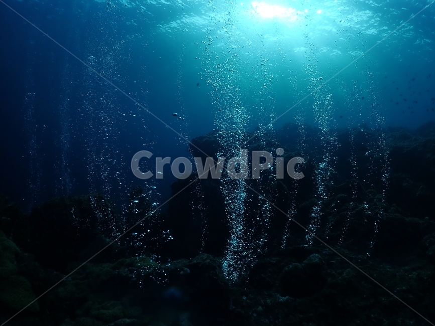 생명,바다,물방울,공기,스쿠버다이빙,수중세계,자연,풍경,nature,landscape,water,물,underwater,수중,outdoors,옥외