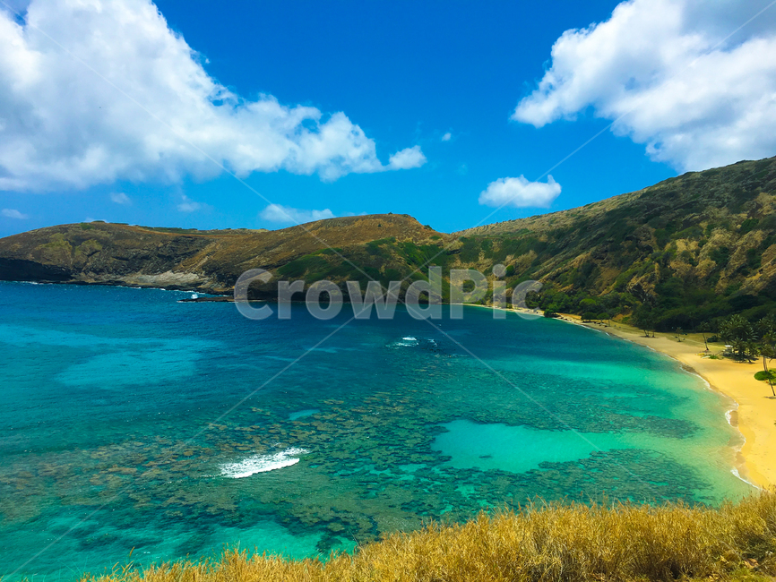 hawaii,hanaumabay,하나우마베이,하와이,nature,자연,land,outdoors,옥외,sea,바다,ocean,대양,water,물,shoreline,해안선,곶,promontory,자연,풍경,nature,landscape