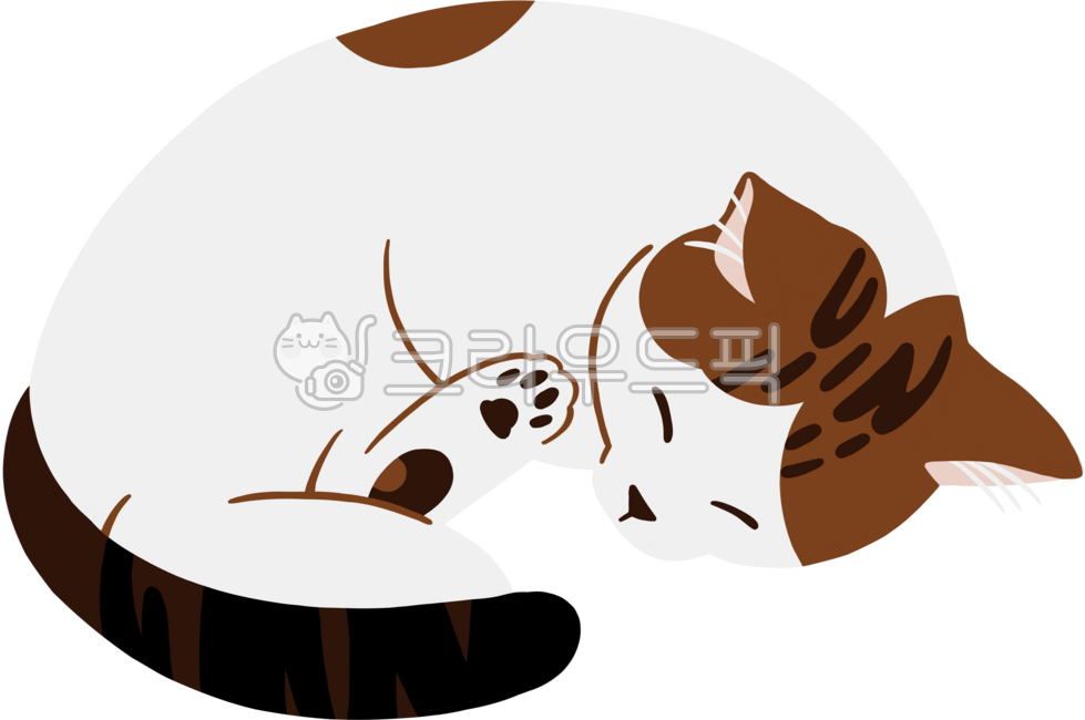 cat,cat character,cute,cat illustration,animal,pet,cat