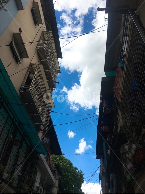 하늘,sky,전깃줄,자연,집,주택
