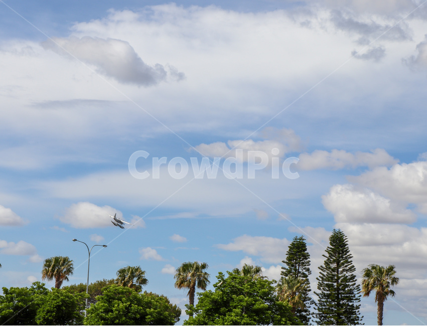하늘,구름,경비행기,비행기,sky,나무,cloud,tree,airplane,푸름,파랑,자연,풍경,nature,landscape,weather,날씨,outdoors,옥외,cumulus,적운