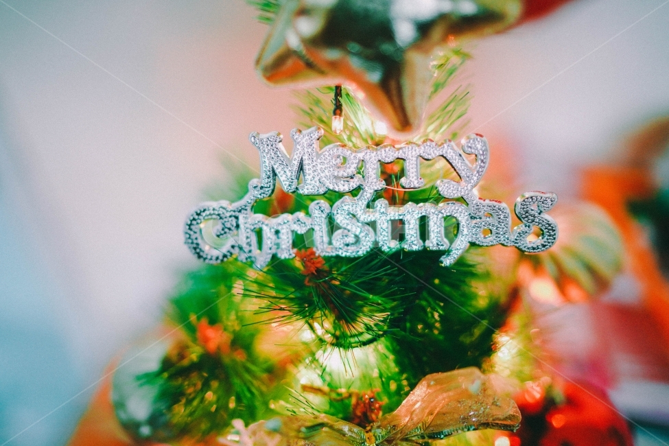 크리스마스,christmas,트리,장식,별,stra,christmastree,merrychristmas,반짝,12월,겨울,12월25일,25일,성탄절,크리스마스준비,행복,동심,산타,산타할아버지,happy,snowchristmas,겨울,계절,winter,season,기념일,축하,anniversary,congratulation,celebrate,celebration,메리크리스마스,성탄절,merry christmas,감성,sensible,feeling