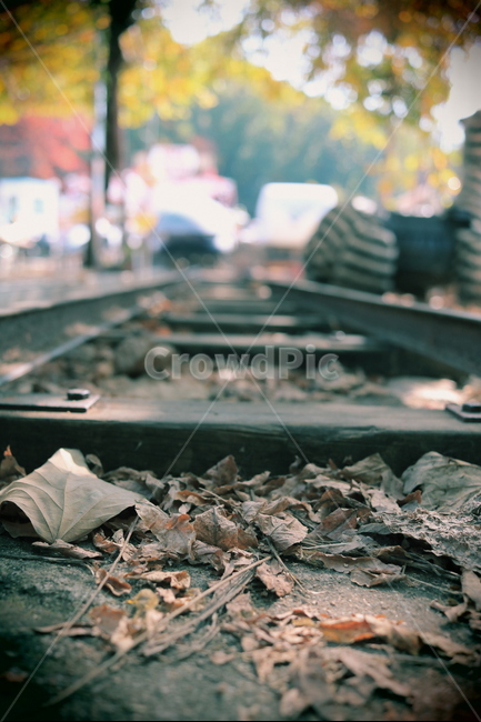 가을,낙엽,철로길,기차길,풍경,가을,계절,fall,autumn,season,감성,sensible,feeling,transportation,교통,train track,기찻길,railway,철도,rail,레일