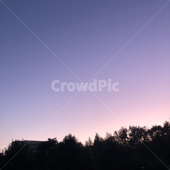 outdoors,nature,자연,문,달,moon,하늘,나무,tree,sky,자연,풍경,nature,landscape