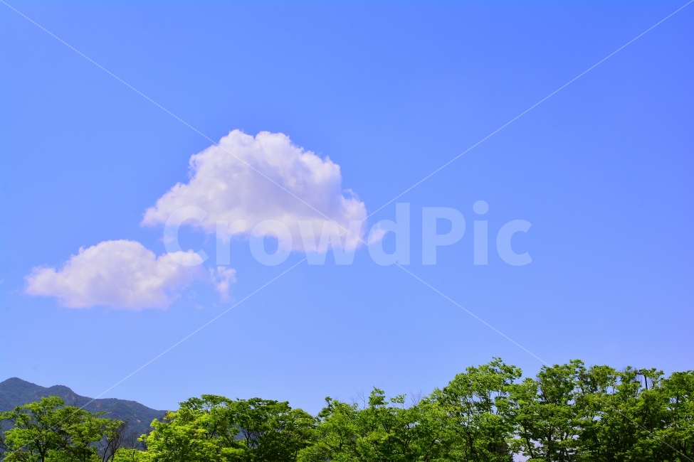 sky,sns,ebook,bluesky,mountain,weather,원경,시안,디자인,디자이너,홈페이지,사보,카다로그,모바일,콘텐츠,마케팅,잡지,광고,전단,배너,팝업,청정,해맑은,산,멀리,바라보다,둥실둥실,기상,날씨,기상청,오염없는,청명,비온후,그림자,햇살,투명,파랑,블루톤,feel,감성,느낌,분위기,맑음,다정한,형제,둘,two,필,솜사탕,부드러운,출판,편집,숲,먼산,풍경,맑은,상쾌한,기분좋은,자연,풍경,nature,landscape,outdoors,옥외,cloud,구름,cumulus,적운,하늘