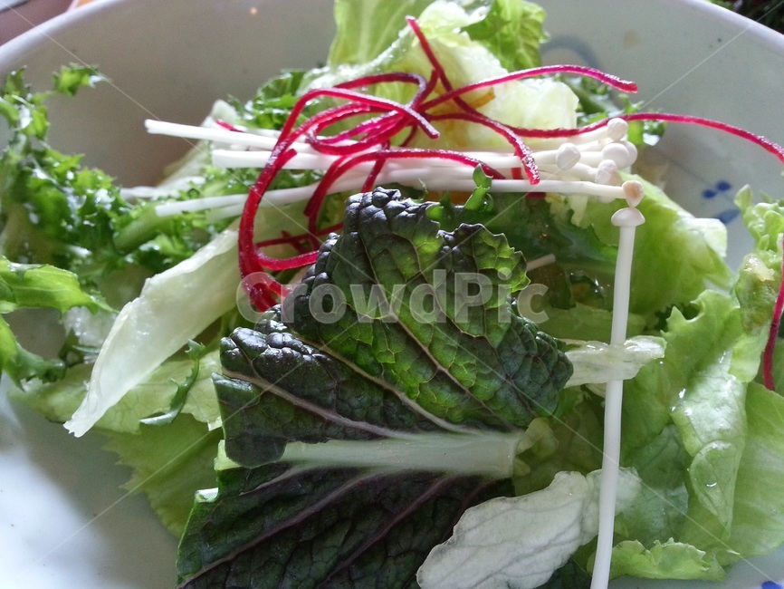 샐러드,양상치,적채,양파,야채,아침식사,점심식사,저녁식사