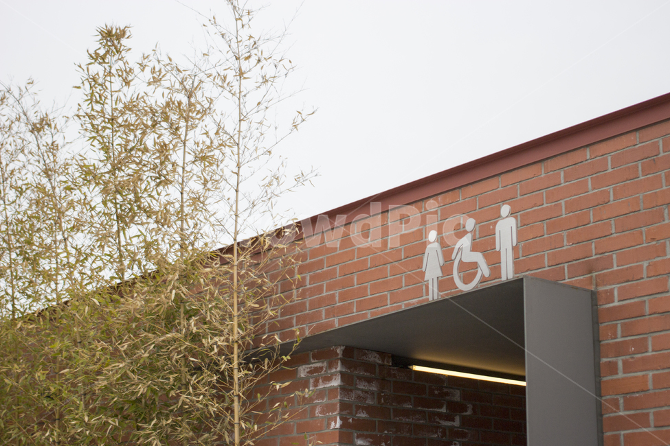 화장실,나무,자연,친화적인,디자인,대나무,벽돌,natural,environment,휴식,식물,외관,building,exterior,architecture,construction,건축물,건물외관,exterior,building,structure,architecture,construction