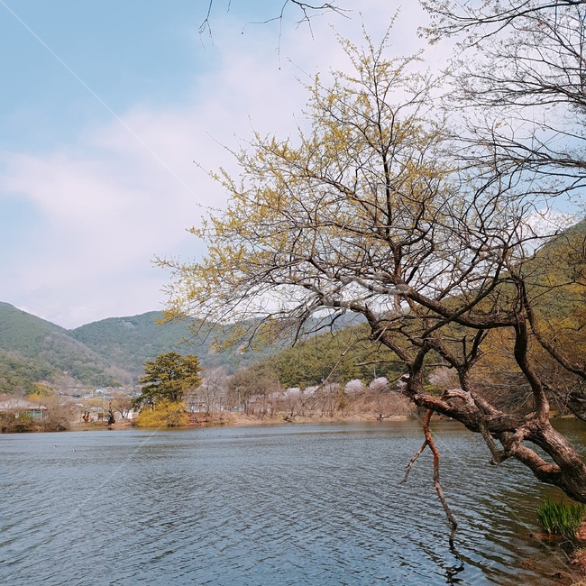 자연,봄,풍경,여유,호수,자연,풍경,nature,landscape,water,물,outdoors,옥외