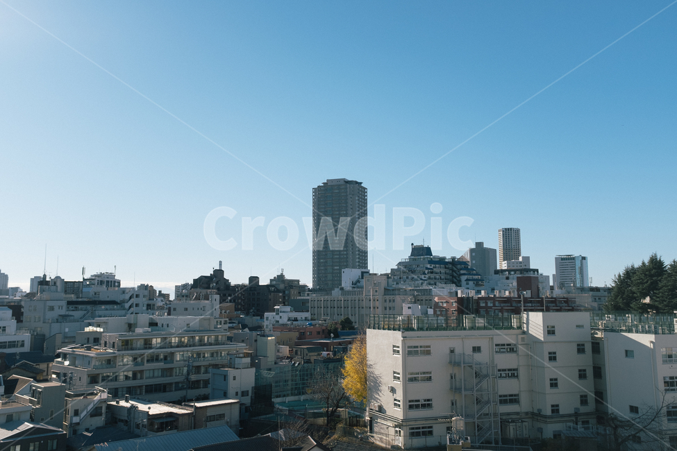 town,도시,building,건물,urban,어반,metropolis,중심지,city,시티