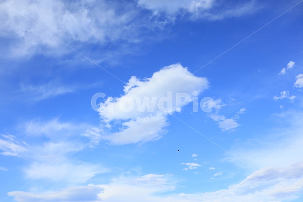 하늘,파란하늘,구름,여름,날씨,화창한,자연,자연,풍경,nature,landscape,outdoors,옥외,azure sky,푸른 하늘,sky