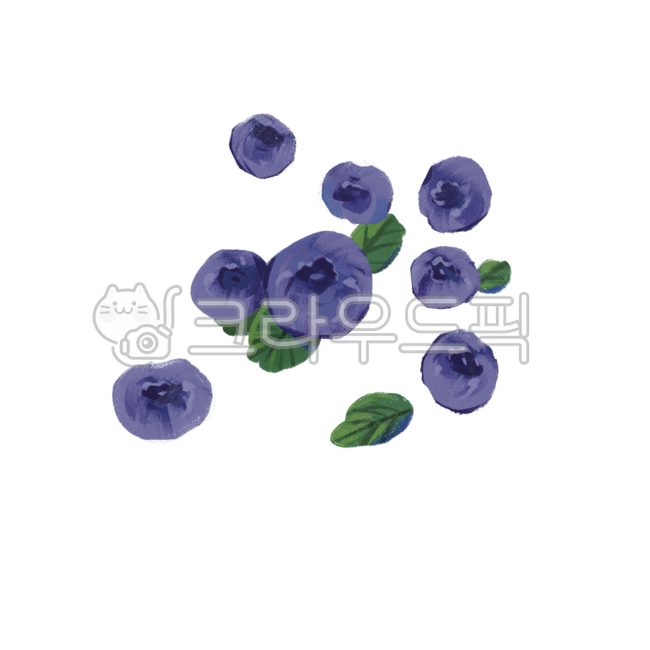 블루베리그림,블루베리일러스트,블루베리손그림,블루베리자료,블루베리삽화