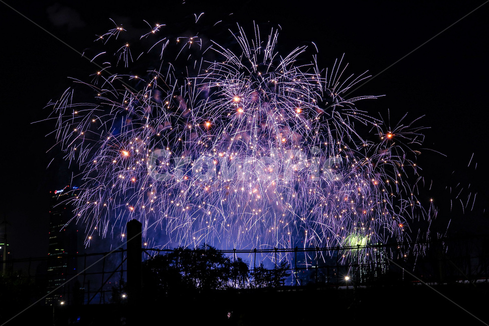 불꽃놀이,밤하늘,fireworks,sky,하늘,자연,옥외,nature,outdoors,야경,밤,풍경,nightscape,night,landscape,도시,city