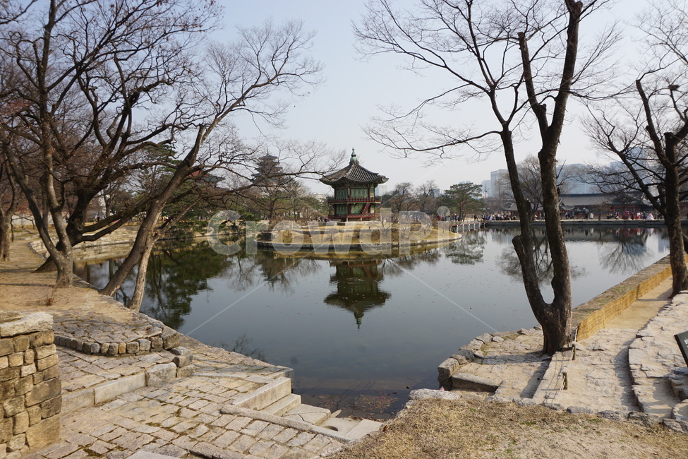 palace,Gyeongbokgung,tree,Korean,lake