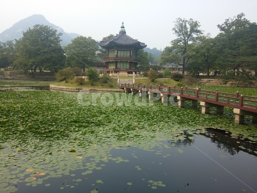 한국,서울,경복궁,연못,물,자연,야외,나무,한국전통,한국문화,korean traditional,korean culture