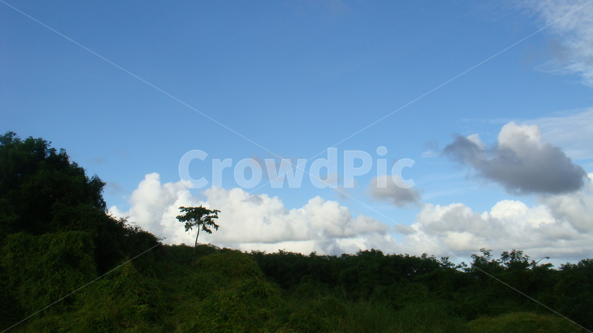 하늘,구름,guam,cloud,tree,산,나무