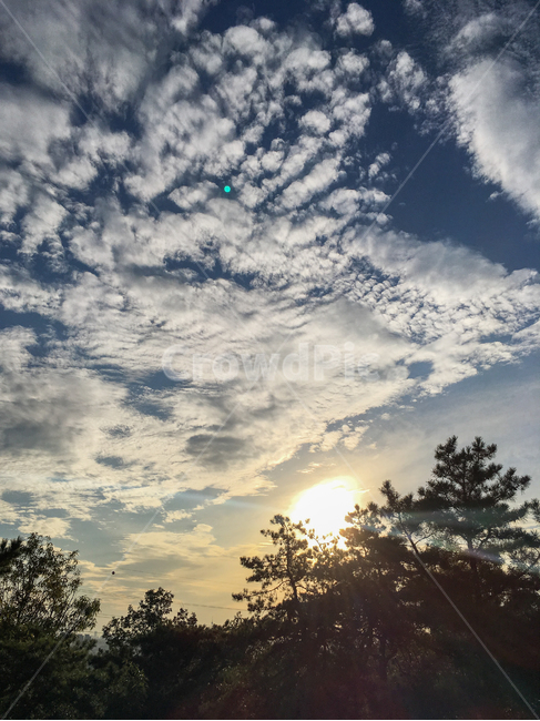 light,빛,flare,플레어,nature,자연,outdoors,옥외,sunlight,햇빛,sky,하늘,구름,구름떼,양털구름,권적운