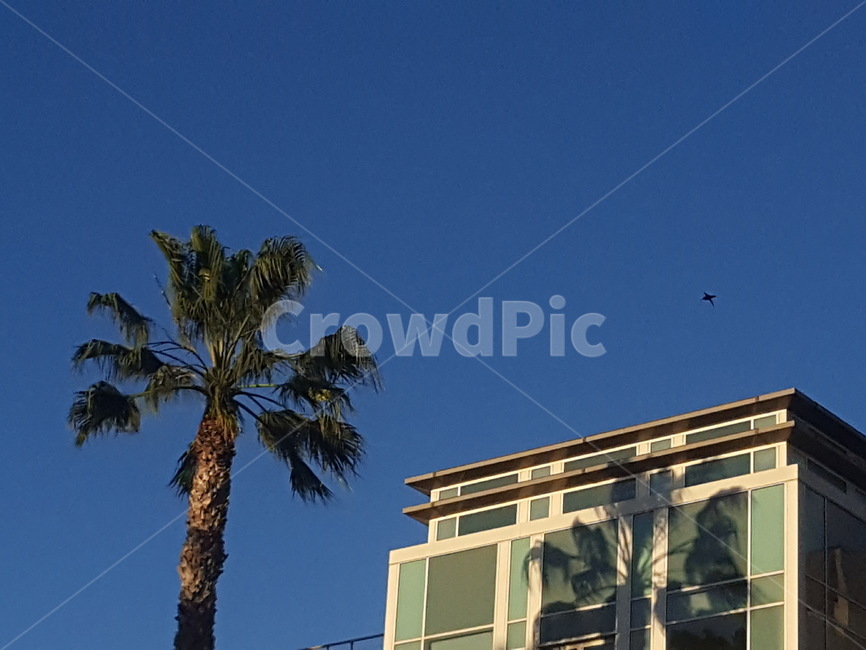 맑음,하늘,나무,그림자,건물,clear,sky,tree,shadow,building