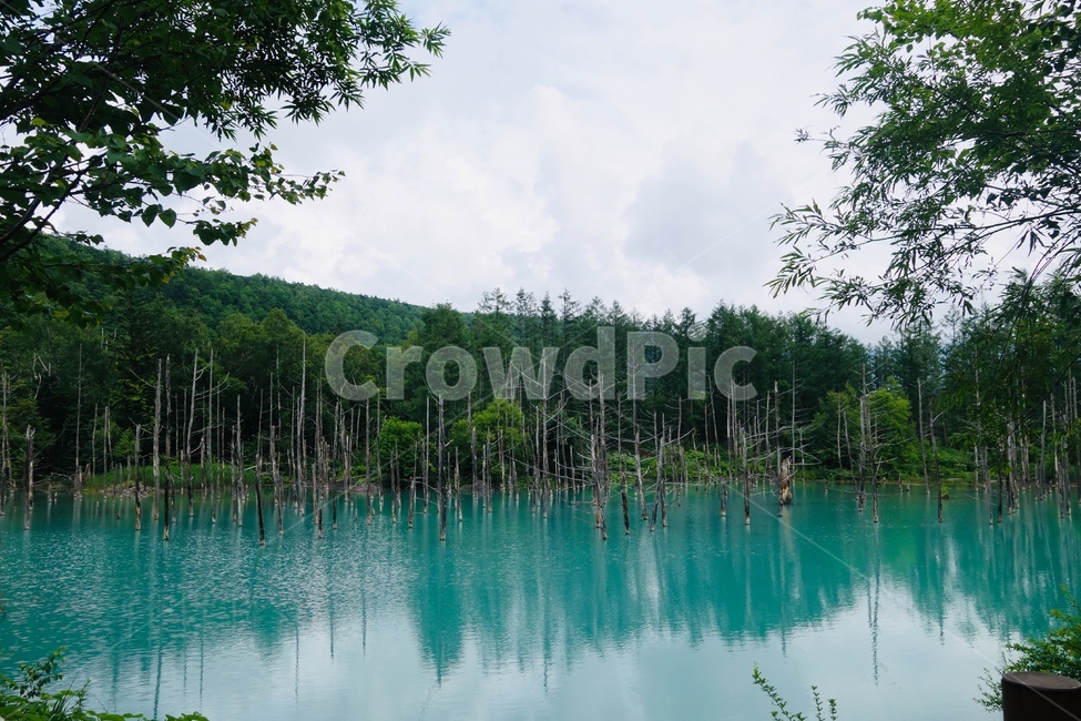 호수,자연,청의호수,lake,bluelake,nature,자연,풍경,nature,landscape,water,물,outdoors,옥외,land,땅