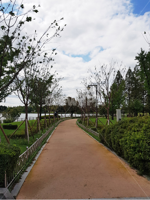 공원,하늘,구름,나무,산책,맑은날,파란하늘,산책로,park,landscape,풍경,자연,nature,호수공원,tree