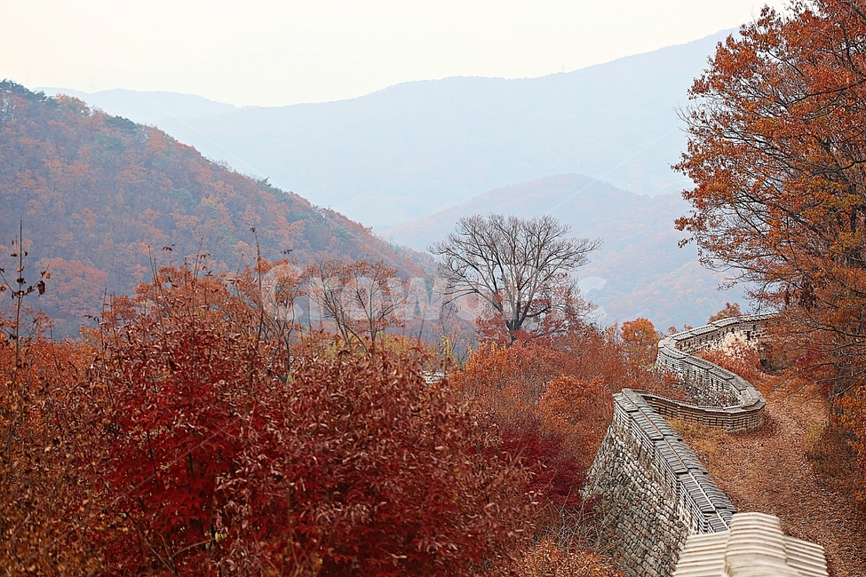 남한산성,성곽,성,단풍,낙엽,길,둘레길,숲,숲길,담,돌담,가을,자연,풍경,벽,울긋불긋,산성,식물,가을,계절,fall,autumn,season,tree,나무,plant