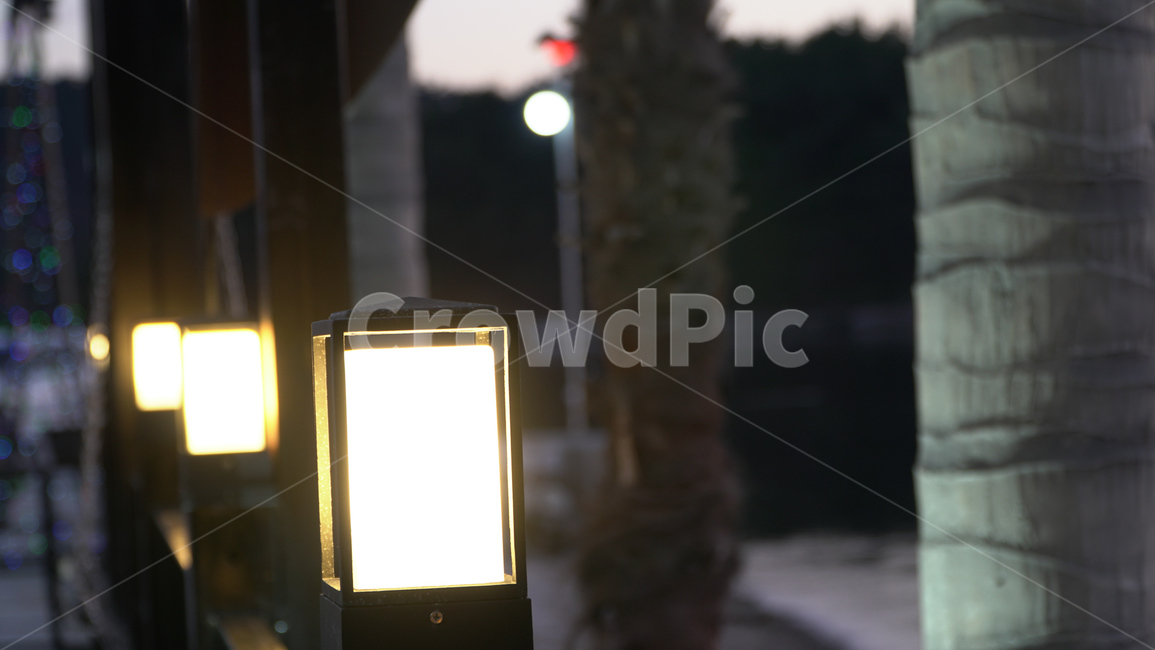 예쁜조명,prettylight,바닷가조명,beachlighting,가로수조명,streetlight