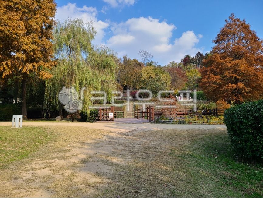 가을,단풍,자연,평화로운풍경,가을풍경,나무,공원,tree,nature,outdoors,park,path,오솔길