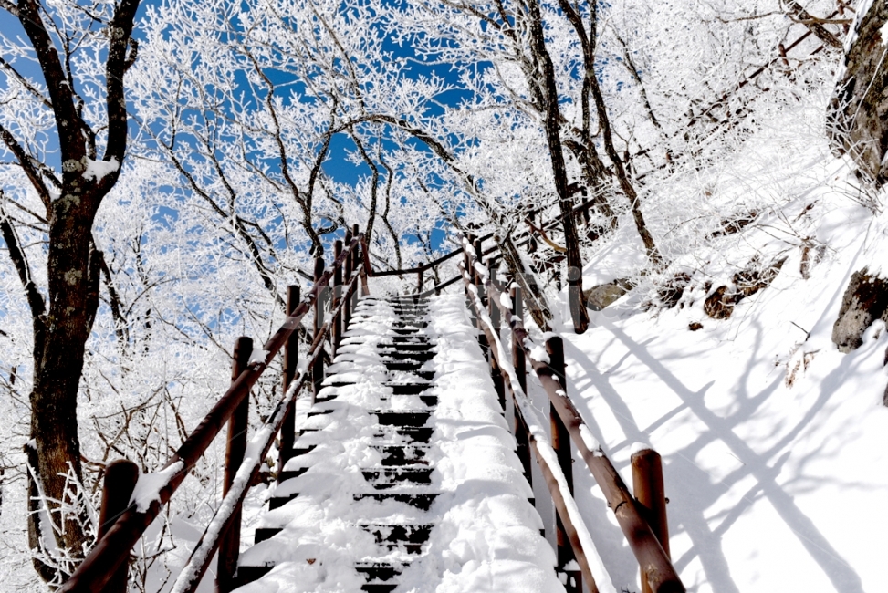 설경,등산,겨울산,겨울,소백산,겨울,계절,winter,season,자연,풍경,nature,landscape,banister,난간,handrail